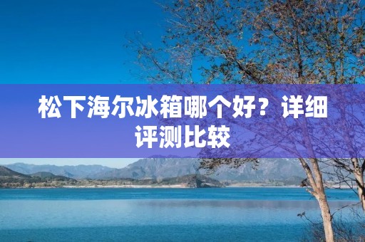 松下海尔冰箱哪个好？详细评测比较