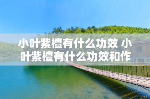 小叶紫檀有什么功效 小叶紫檀有什么功效和作用