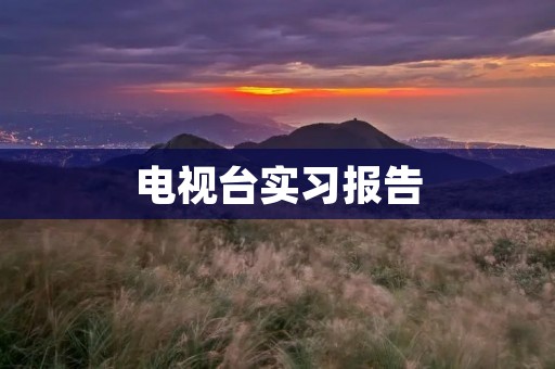 电视台实习报告:走进传媒行业的第一步