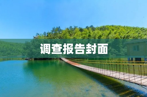 调查报告封面