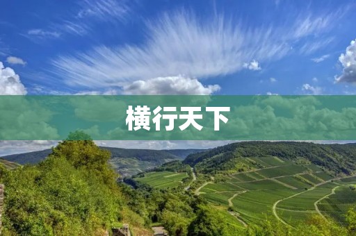 横行天下：中国企业走向全球的探索与挑战