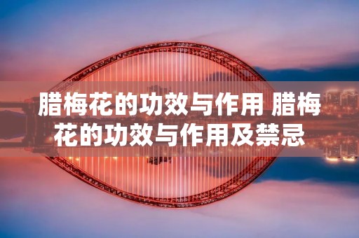 腊梅花的功效与作用 腊梅花的功效与作用及禁忌 腊梅花的功效与作用 腊梅花的功效与作用及禁忌