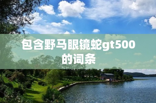 包含野马眼镜蛇gt500的词条 包含野马眼镜蛇gt500的词条