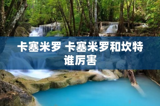 卡塞米罗 卡塞米罗和坎特谁厉害