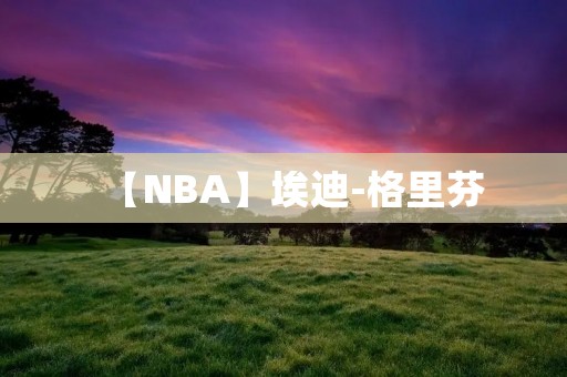 【NBA】埃迪-格里芬：从扣篮王到全能球员