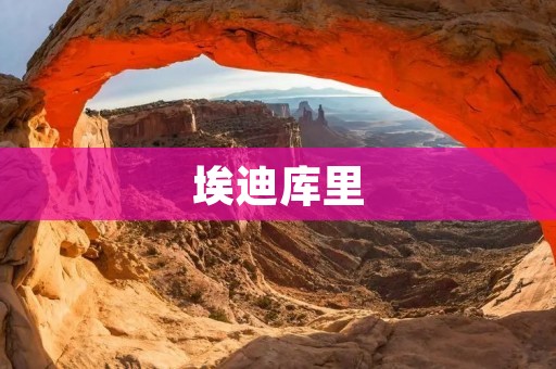 埃迪库里:音乐与创作的天才 埃迪库里:音乐与创作的天才