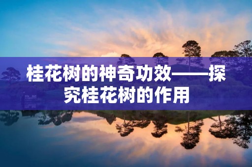桂花树的神奇功效——探究桂花树的作用