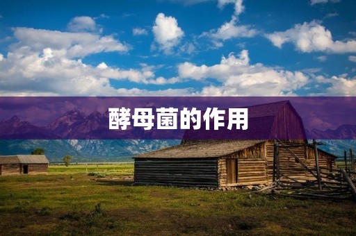 酵母菌的作用:从发酵到健康 酵母菌的作用:从发酵到健康