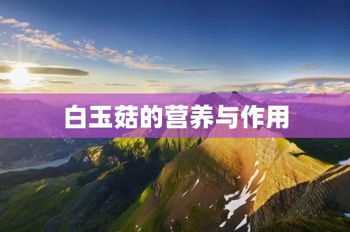 白玉菇的营养与作用 白玉菇的营养与作用