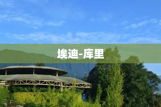 埃迪-库里：一位传奇角色的成长之路