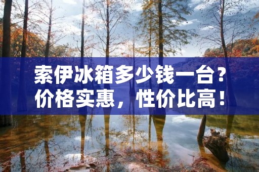 索伊冰箱多少钱一台？价格实惠，性价比高！