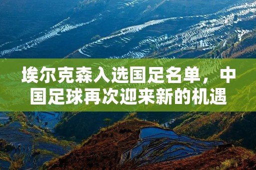 埃尔克森入选国足名单，中国足球再次迎来新的机遇