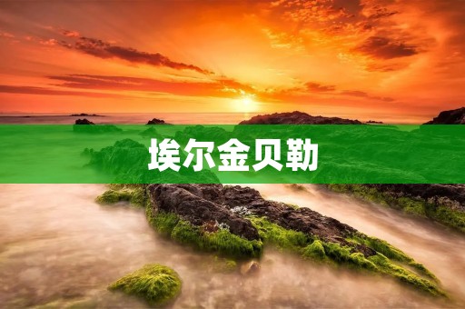 埃尔金贝勒：一个充满活力的城市