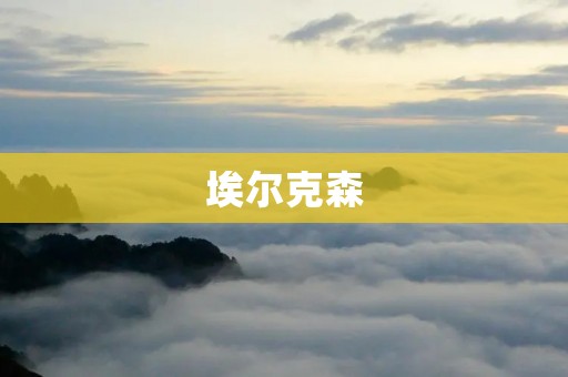 埃尔克森：中国足球史上的巨星