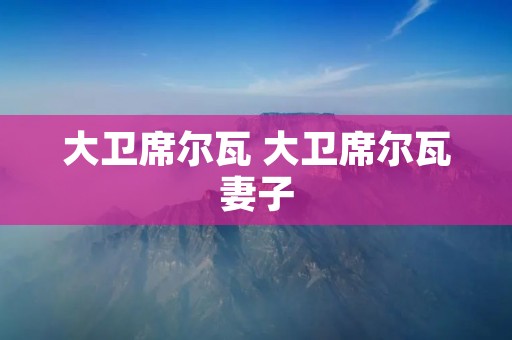 大卫席尔瓦 大卫席尔瓦妻子