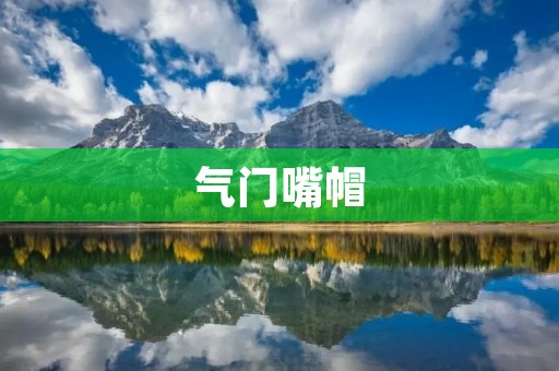 气门嘴帽:汽车引擎保护的关键 气门嘴帽:汽车引擎保护的关键