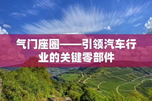 气门座圈——引领汽车行业的关键零部件 气门座圈——引领汽车行业的关键零部件