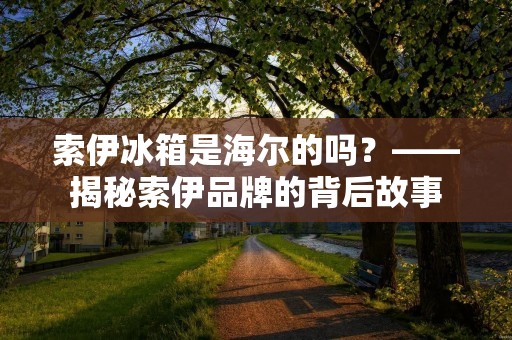 索伊冰箱是海尔的吗？——揭秘索伊品牌的背后故事