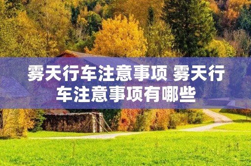 雾天行车注意事项 雾天行车注意事项有哪些