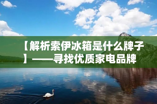 【解析索伊冰箱是什么牌子】——寻找优质家电品牌 【解析索伊冰箱是什么牌子】——寻找优质家电品牌
