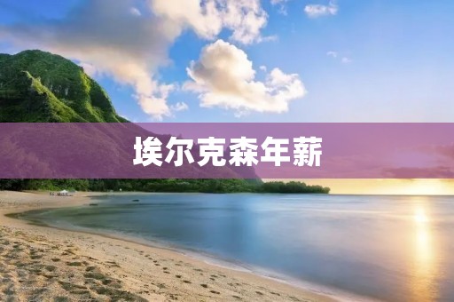 埃尔克森年薪:巨额合同引发质疑 埃尔克森年薪:巨额合同引发质疑