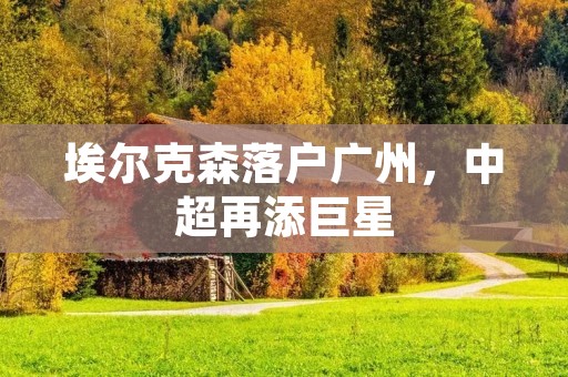 埃尔克森落户广州,中超再添巨星 埃尔克森落户广州,中超再添巨星