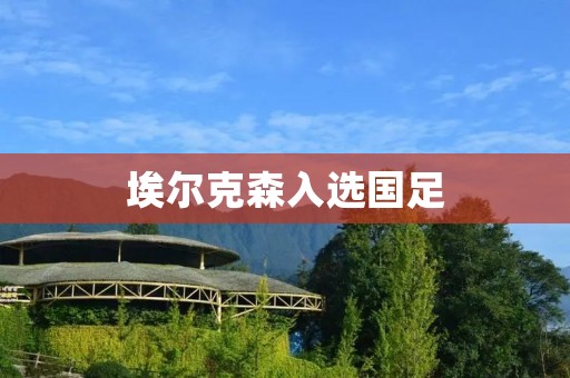 埃尔克森入选国足：中国足球的新起点