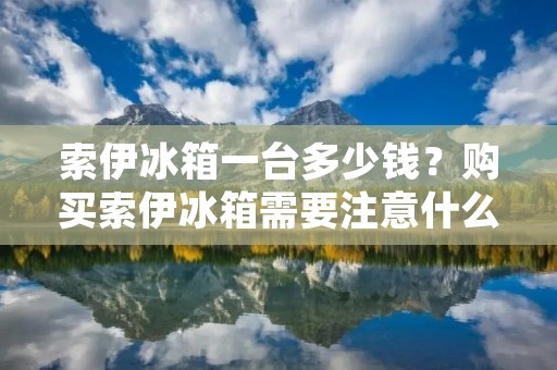 索伊冰箱一台多少钱？购买索伊冰箱需要注意什么？