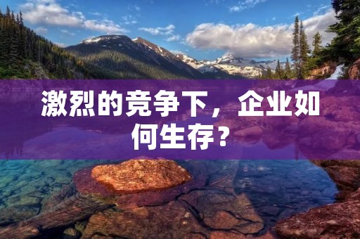 激烈的竞争下，企业如何生存？