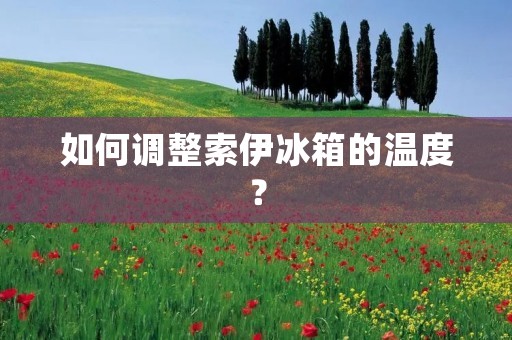 如何调整索伊冰箱的温度？