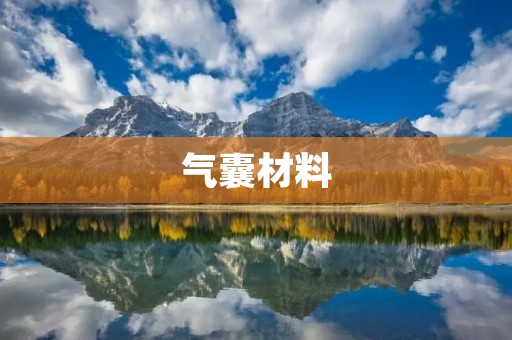 气囊材料：新材料的应用与发展