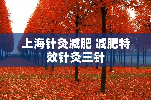 上海针灸减肥 减肥特效针灸三针
