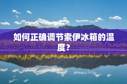 如何正确调节索伊冰箱的温度? 如何正确调节索伊冰箱的温度?
