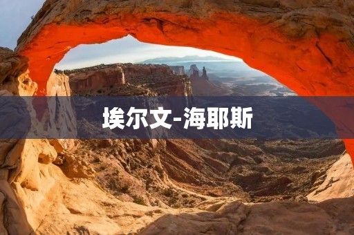 埃尔文-海耶斯：探索人类行为的基础
