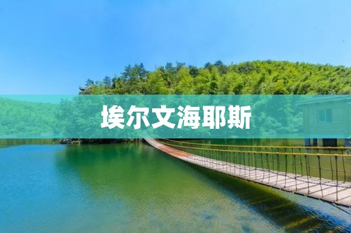 埃尔文海耶斯:一位伟大的美国历史学家 埃尔文海耶斯:一位伟大的美国历史学家