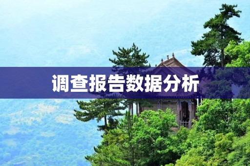 调查报告数据分析:揭示市场需求和消费行为
