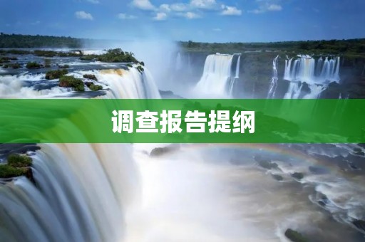 调查报告提纲:中国大学生对在线教育的态度与使用情况调查