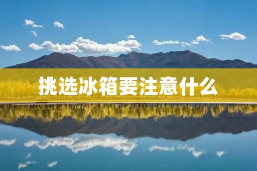 挑选冰箱要注意什么