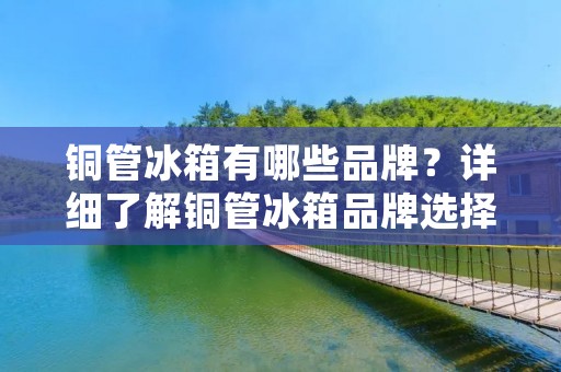 铜管冰箱有哪些品牌?详细了解铜管冰箱品牌选择的几大要素 铜管冰箱有哪些品牌?详细了解铜管冰箱品牌选择的几大要素