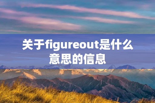关于figureout是什么意思的信息