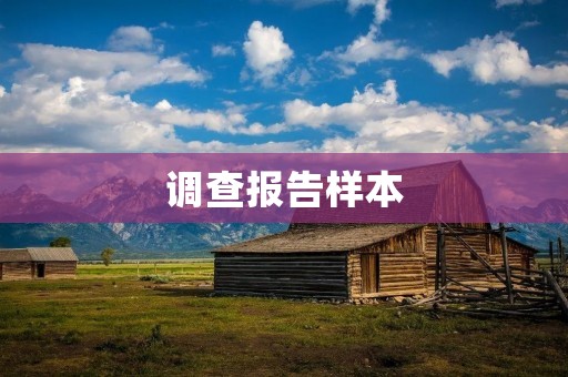 调查报告样本:中国城市居民生活水平调查