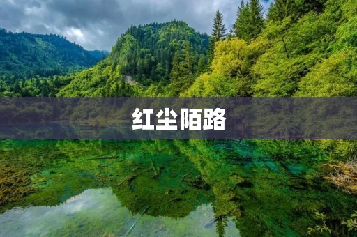 红尘陌路：寻找内心的归宿