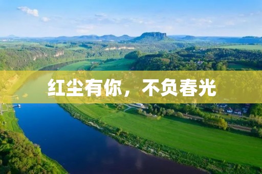 红尘有你，不负春光