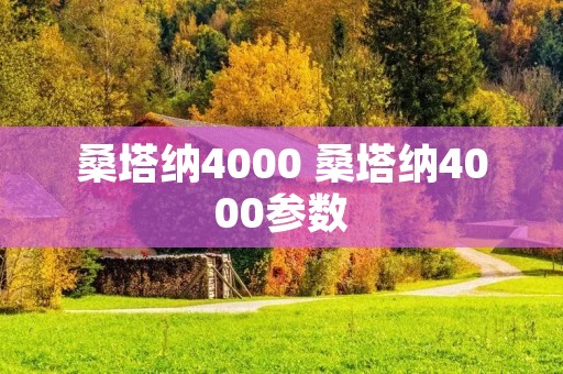 桑塔纳4000 桑塔纳4000参数