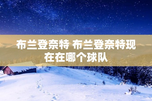 布兰登奈特 布兰登奈特现在在哪个球队