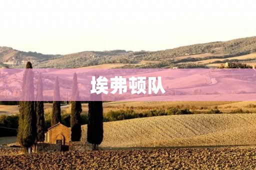 埃弗顿队:从黯淡到辉煌的崛起 埃弗顿队:从黯淡到辉煌的崛起