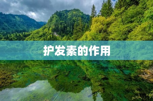 护发素的作用：让你的头发更加健康亮丽