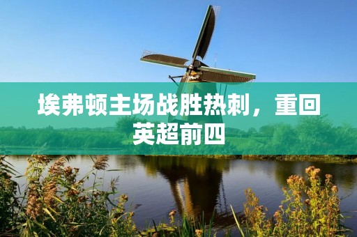 埃弗顿主场战胜热刺,重回英超前四 埃弗顿主场战胜热刺,重回英超前四