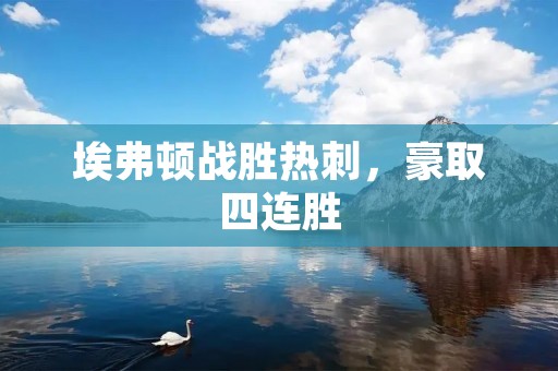 埃弗顿战胜热刺,豪取四连胜 埃弗顿战胜热刺,豪取四连胜