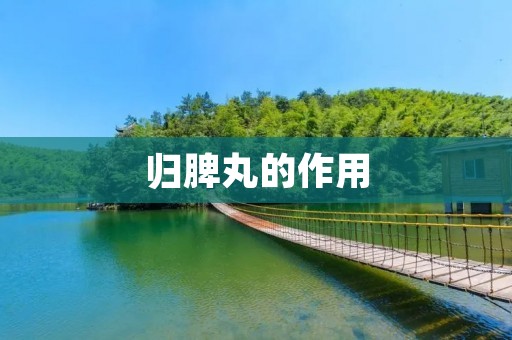 归脾丸的作用:中药治疗脾虚湿滞 归脾丸的作用:中药治疗脾虚湿滞